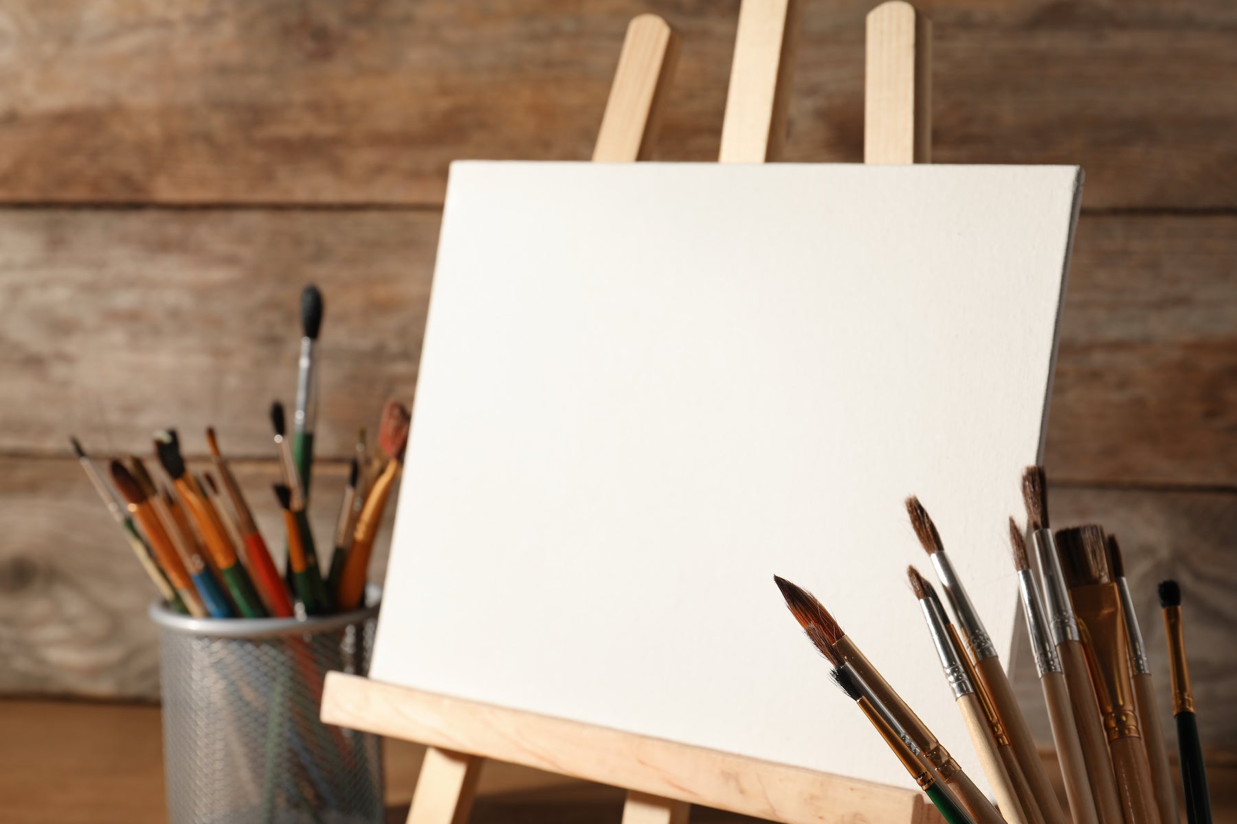 Lienzos para pintar