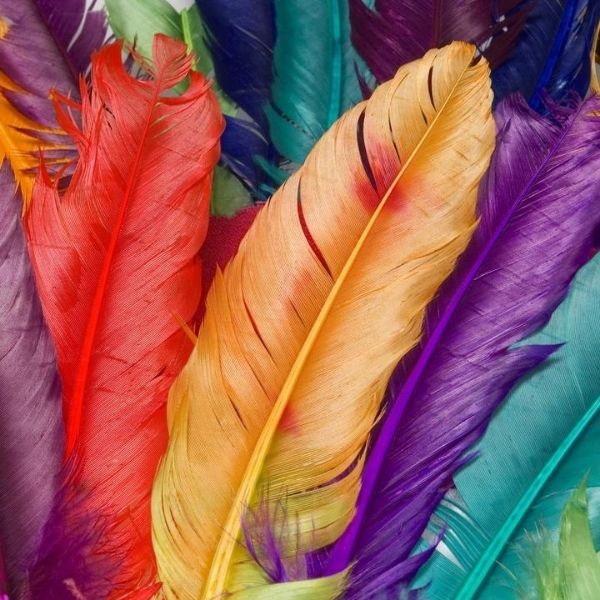 manualidades con plumas