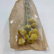 Ramos de Flores secas craspedia 120g  25000007 ARTEMIO CENTROARTESANO