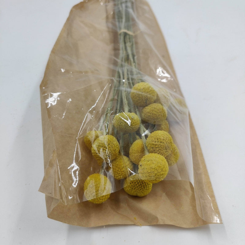 Ramos de Flores secas craspedia 120g  25000007 ARTEMIO CENTROARTESANO
