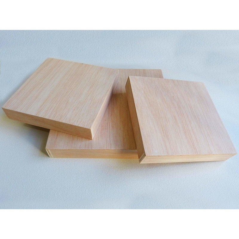 Lienzo 3D madera Okume 40x40 ALLA PRIMA CENTROARTESANO