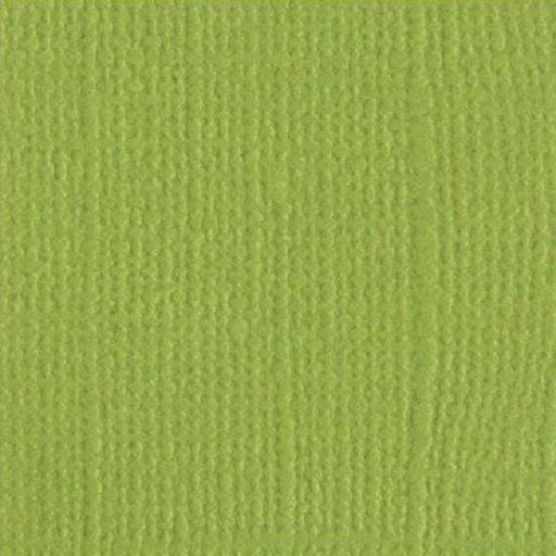 Cartulina Texturizada Bazzill t5-510 Paraket ARTEMIO Oferta CENTROARTESANO