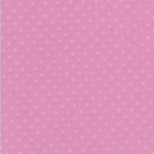 Cartulina Bazzill texturizada puntitos T1-164 Slipper BAZZILL Oferta CENTROARTESANO