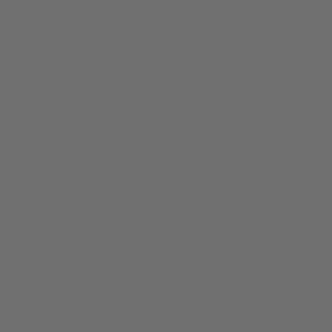 Cartulina Canson A2 185gr 50x65 gris plomo CANSON CENTROARTESANO