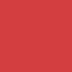 Cartulina Canson A2 185gr 50x65 rojo tomate CANSON CENTROARTESANO