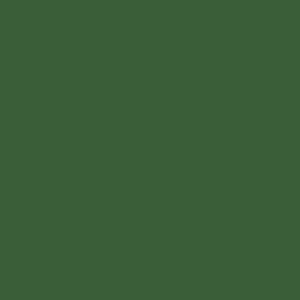 Cartulina Canson A2 185gr 50x65 verde abeto CANSON CENTROARTESANO