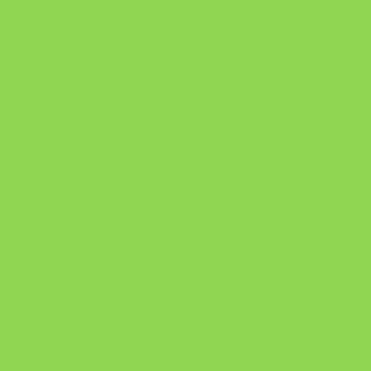 Cartulina Canson A2 185gr 50x65 verde manzana CANSON CENTROARTESANO
