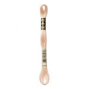 Hilo Bordar Mouliné Special DMC Tonos beige a tierra DMC 3774 CENTROARTESANO