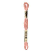 Hilo Bordar Mouliné Special DMC Tonos beige a tierra DMC 3779 CENTROARTESANO
