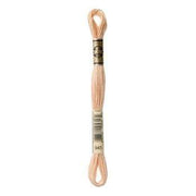 Hilo Bordar Mouliné Special DMC Tonos beige a tierra DMC 945 CENTROARTESANO
