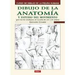 Drac dibujo de anatomÝa DRAC CENTROARTESANO
