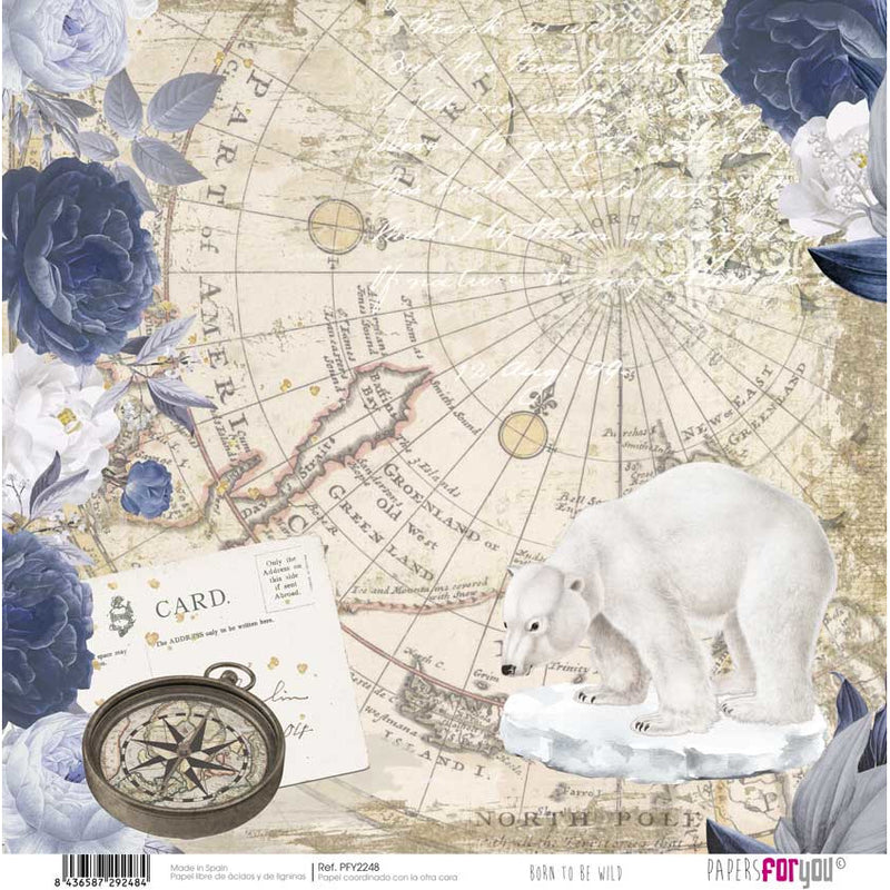 Papersforyou kit 12 papeles scrap PFY2238 born to be wild