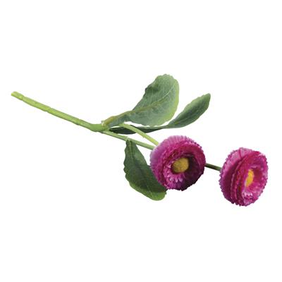 Ramas de Daisy, RAYHER CENTROARTESANO
