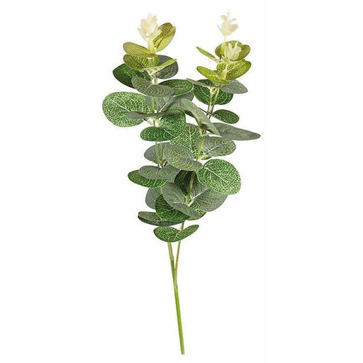 Ramas de eucaliptus 55798000 RAYHER CENTROARTESANO