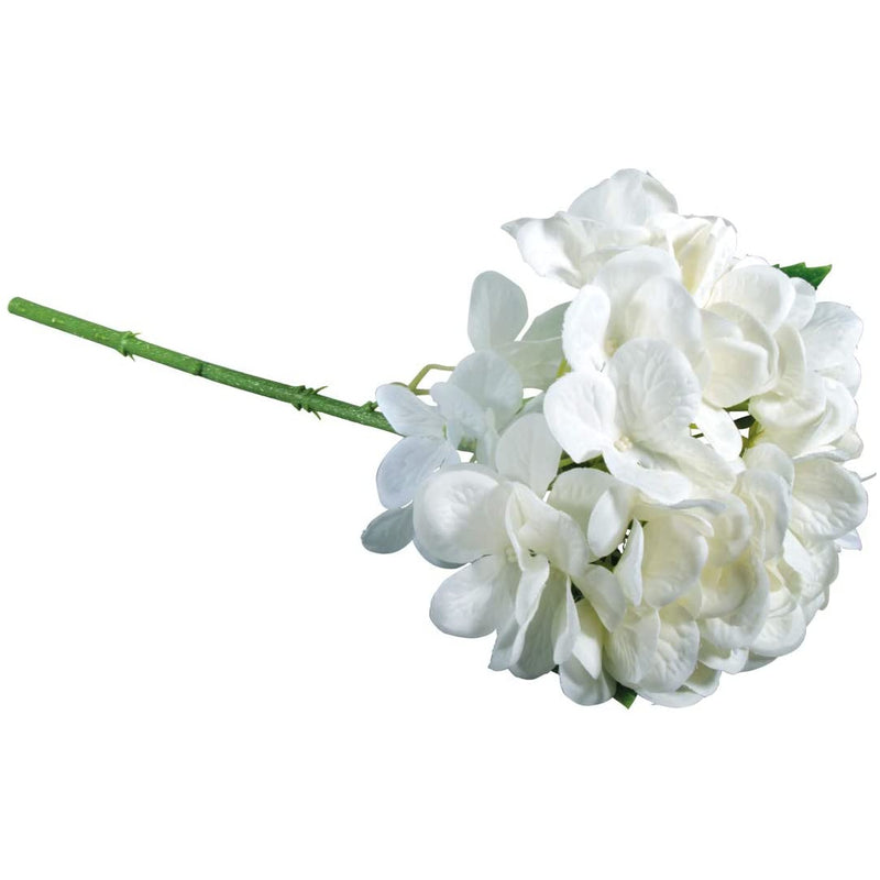 Ramas de Hydrangea, Hortensia RAYHER CENTROARTESANO