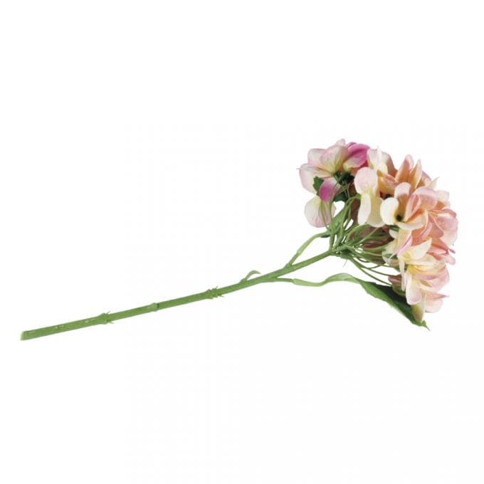 Ramas de Hydrangea, Hortensia rosa RAYHER CENTROARTESANO
