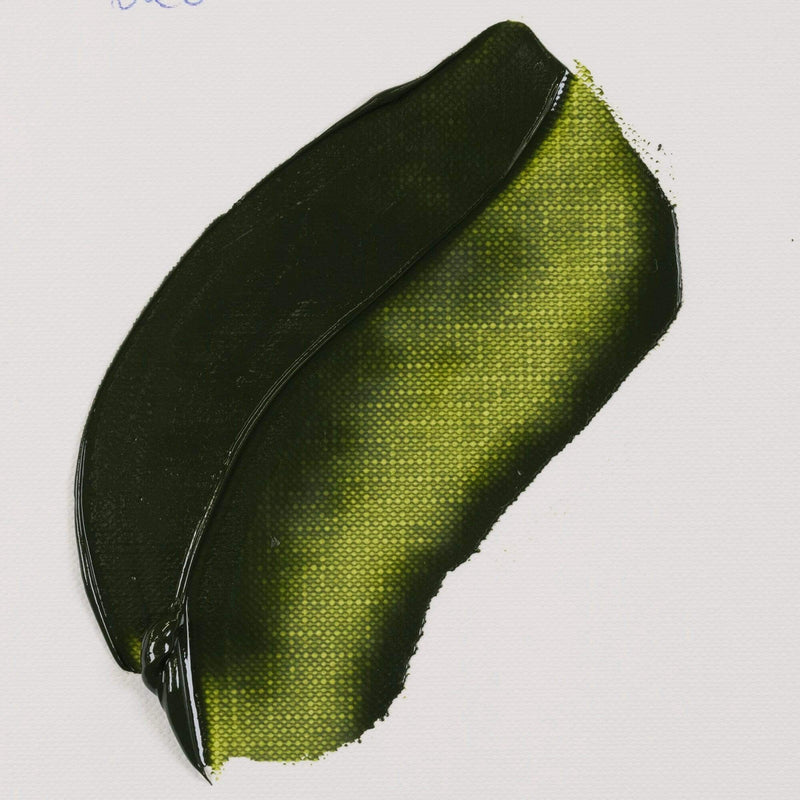 Van Gogh 20ml 02046203 Verde permanente oliva VAN GOGH CENTROARTESANO